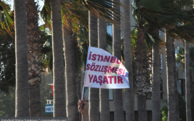 danistay_istanbul_sozlesmesi_kadin_koalisyonu