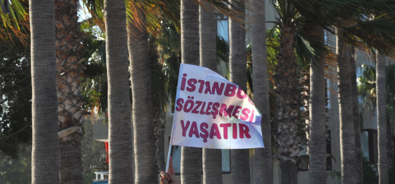 danistay_istanbul_sozlesmesi_kadin_koalisyonu